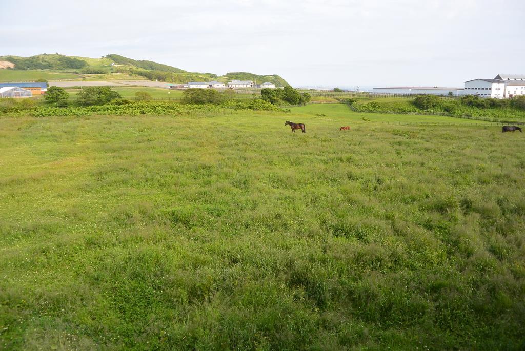 Horse Village Uma No Yado えりも町 エクステリア 写真